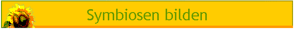 Symbiosen bilden
