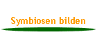 Symbiosen bilden