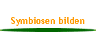 Symbiosen bilden