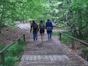 18.jpg (186858 Byte)