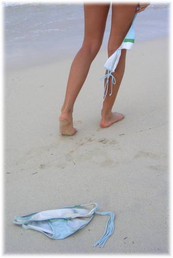 leave_behind.jpg (16947 Byte)