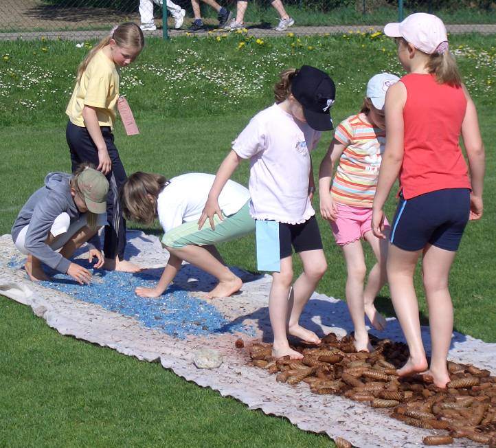 fuehlpfad.jpg (95806 Byte)