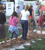 st2005_gc.jpg (65049 Byte)