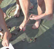 st2005_gymn.jpg (58442 Byte)