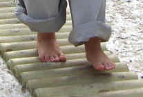 st_sep2006_4.jpg (55915 Byte)